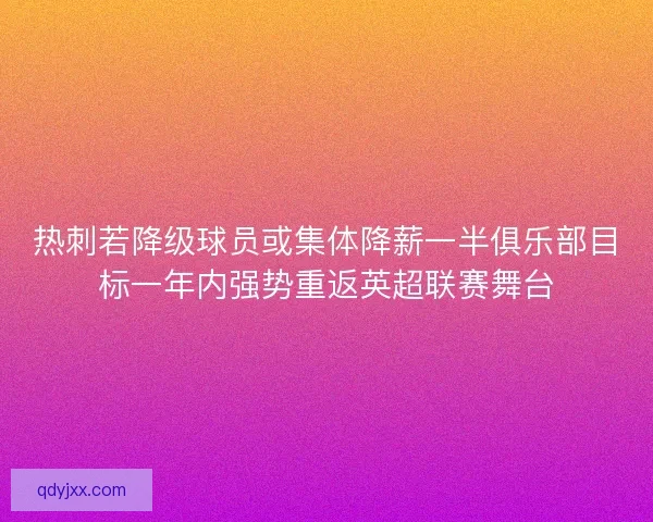 热刺若降级球员或集体降薪一半俱乐部目标一年内强势重返英超联赛舞台