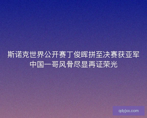 斯诺克世界公开赛丁俊晖拼至决赛获亚军中国一哥风骨尽显再证荣光