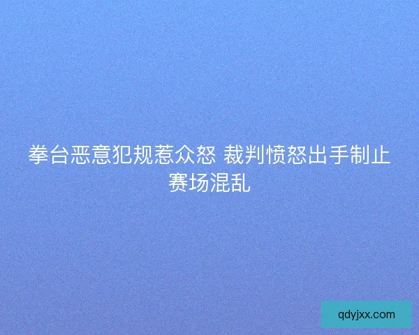 拳台恶意犯规惹众怒 裁判愤怒出手制止赛场混乱